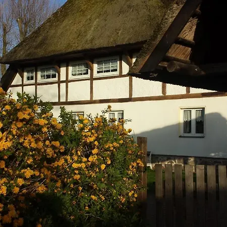 公寓 Gemuetliche Unterm Reetdach