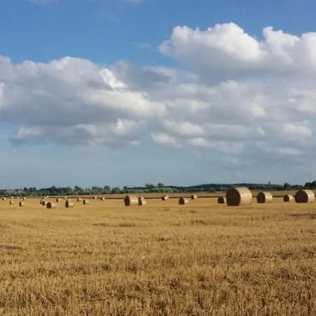 Gemuetliche Unterm Reetdach *