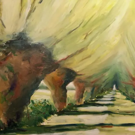 公寓 Gemuetliche Unterm Reetdach Boiensdorf