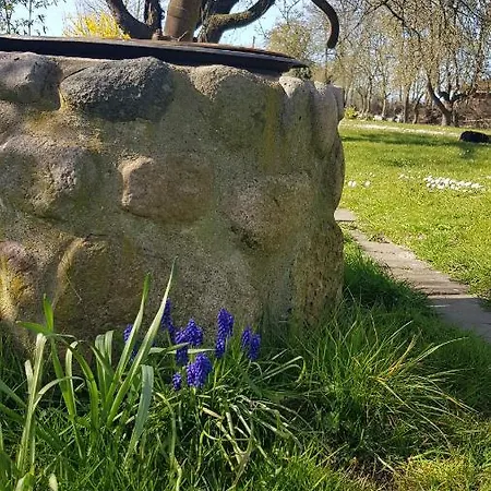 Gemuetliche Unterm Reetdach 公寓