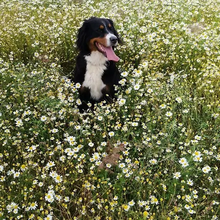 Gemuetliche Unterm Reetdach * Boiensdorf