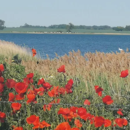 公寓 Gemuetliche Unterm Reetdach *