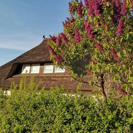 公寓 Gemuetliche Unterm Reetdach *