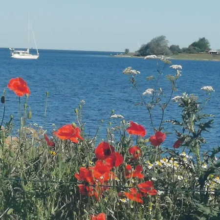 Gemuetliche Unterm Reetdach