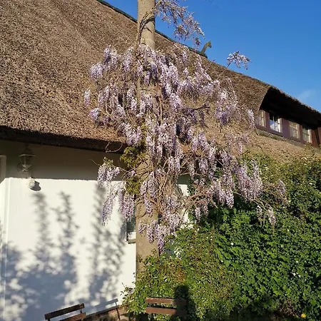 Gemuetliche Unterm Reetdach Lejlighed