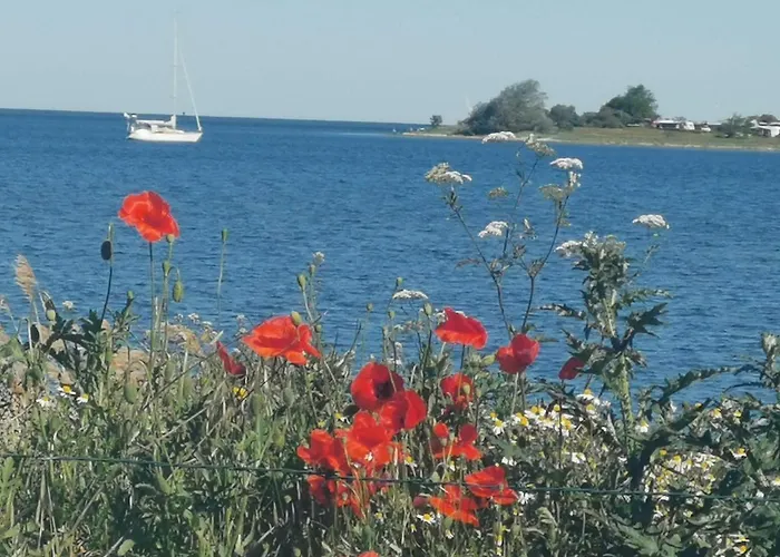 Gemuetliche Unterm Reetdach